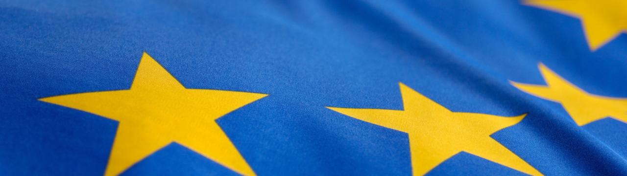Europaflagge