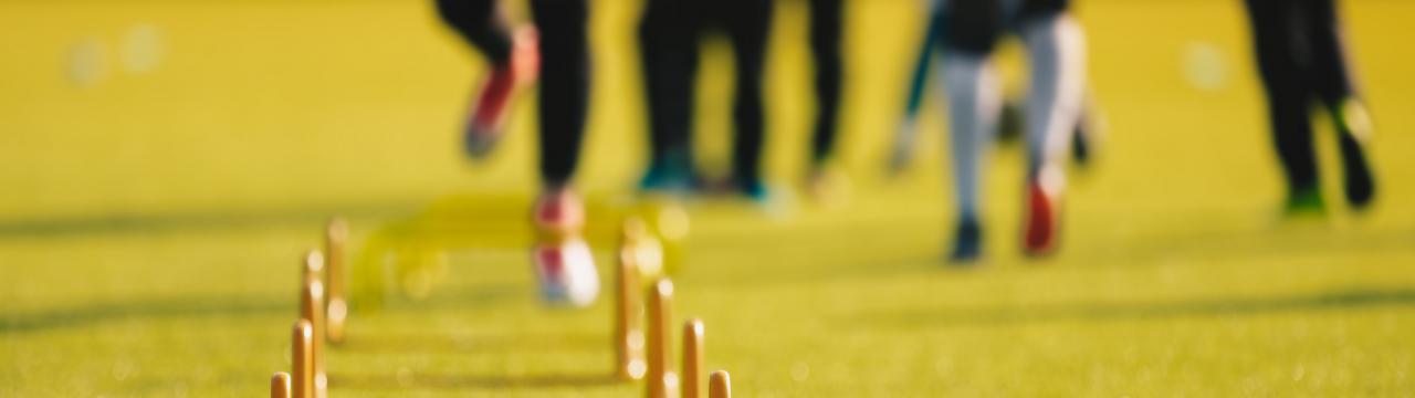 Trainingsplatz mit Hütchen und Hindernissen