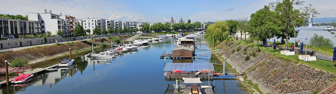 Blick aus dem Seminarraum im Mainzer Ruderverein