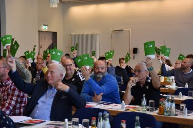 Grüne Stimmkarten