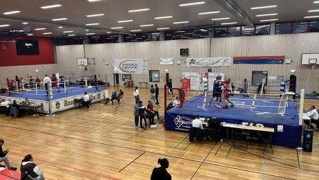 Boxturnier in Koblenz