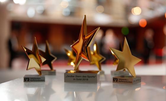 Pokal Sterne des Sports 2019