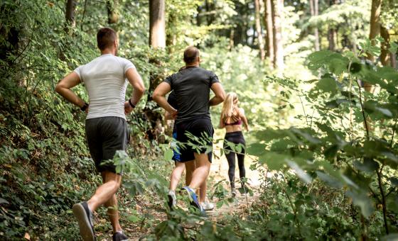 Sportler*innen laufen durch den Wald