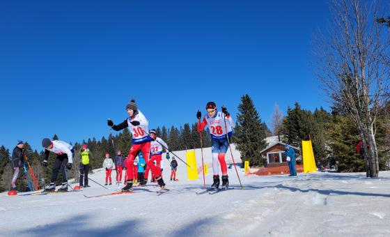 Skifahrer