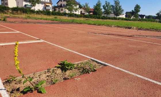 Kleinspielfeld mit Flutschäden