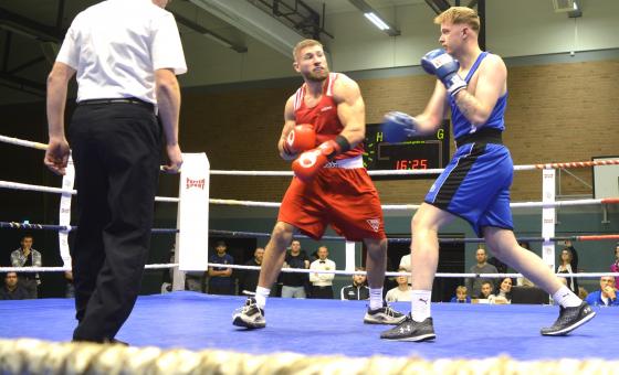 Zwei Boxer im Ring