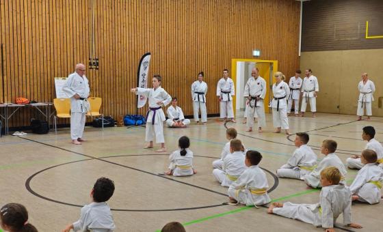 Kareteka in Sporthalle