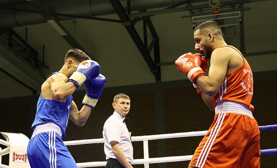 Zwei Boxer im Ring