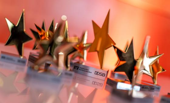 Sterne des Sports-Trophäen vor rötlichem Hintergrund